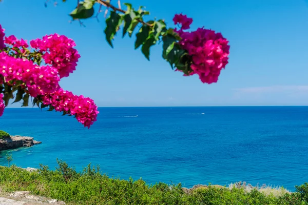 Prachtig Tropisch Landschap Met Uitzicht Zee — Stockfoto