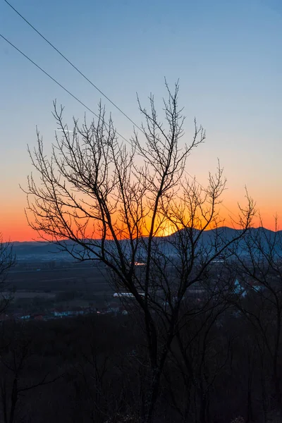 Zonsondergang Het Bos — Stockfoto