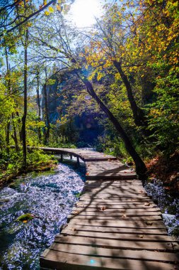 Hırvatistan 'daki Plitvice Ulusal Parkı' nda tahta köprü