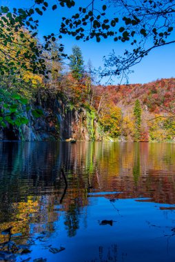 Ağaçların yansıması ve sudaki yansımalarla sonbahar manzarası