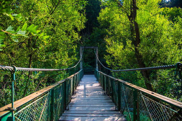 bridge in the plitvice lakes national park, croatia