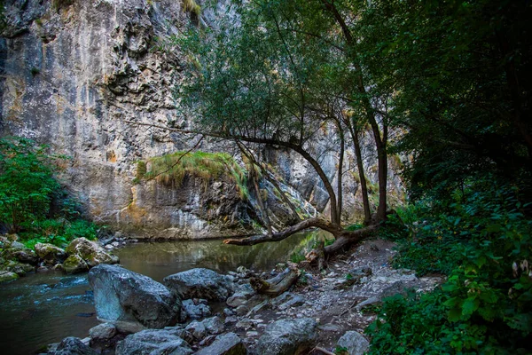 Rio Montanha Primavera — Fotografia de Stock