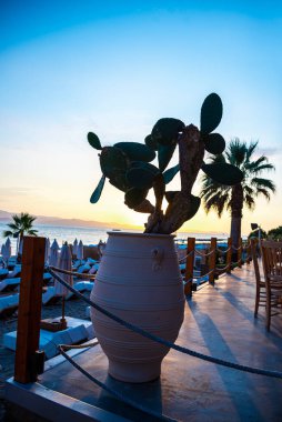 Çiçekleri ve palmiyeleri olan güzel tropikal bir manzara.