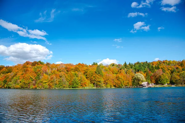 나무와 호수가 아름다운 — 스톡 사진