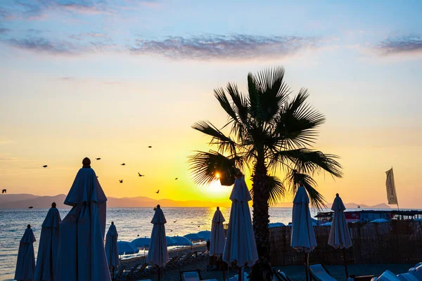 Zachód Słońca Plaży Palmami Widokiem Morze — Zdjęcie stockowe
