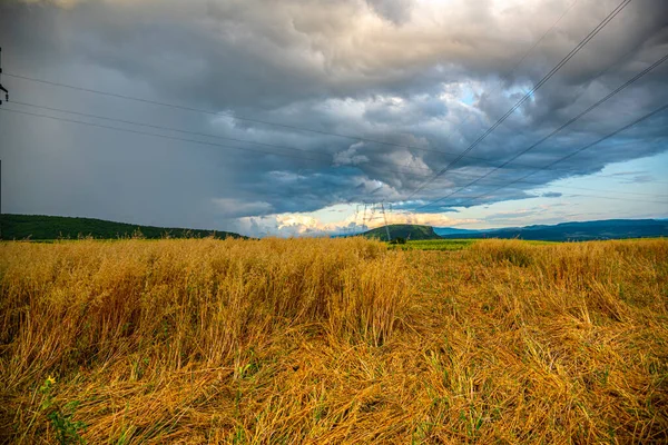 Ländliche Landschaft Mit Grünem Gras Und Wolken — Stockfoto