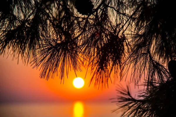 Puesta Sol Playa — Foto de Stock