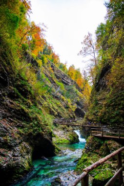 Dağlarda nehir olan sonbahar manzarası