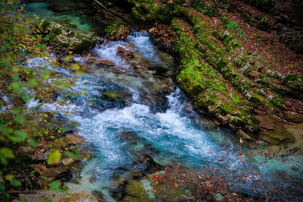 Gebirgsbach Wald — Stockfoto