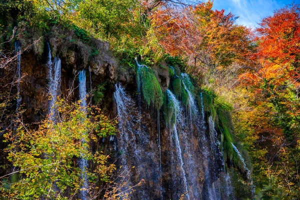 Herfst Bos Met Kleurrijke Bomen Bladeren — Stockfoto