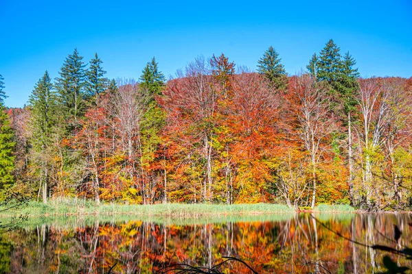 Renkli Ağaçlar Mavi Gökyüzü Ile Sonbahar Manzarası — Stok fotoğraf