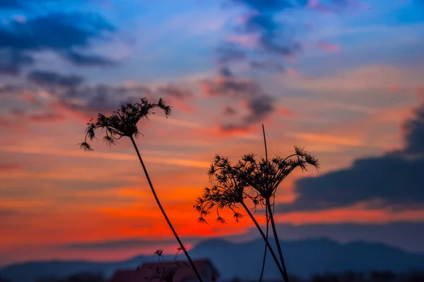 Dağda gün batımı