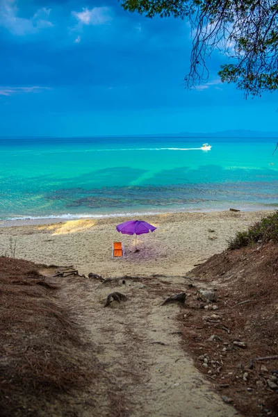 イビサ島のビーチチェアは — ストック写真