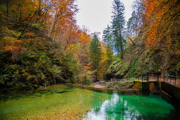 Podzimní Krajina Řekou Lese — Stock fotografie