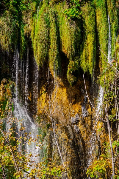 Wasserfall Wald — Stockfoto