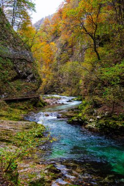 İsrail 'in kuzeyinde sonbahar nehri