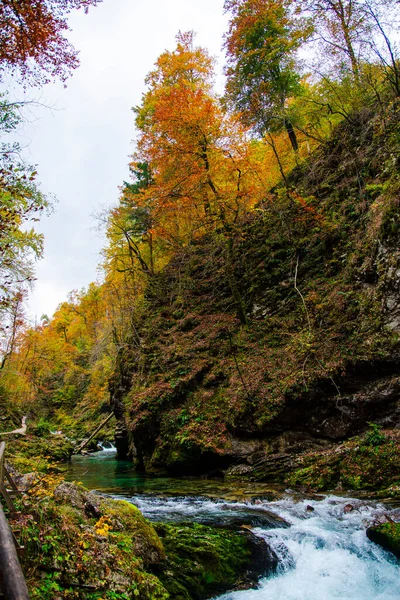 Schöne Herbstlandschaft Mit Gebirgsfluss — Stockfoto