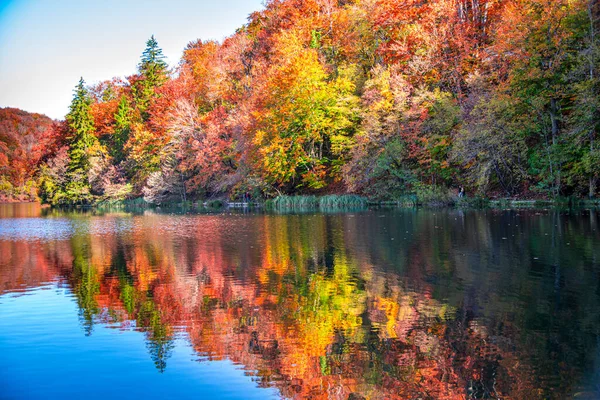 Hermoso Paisaje Otoñal Con Árboles Coloridos Reflejo Agua —  Fotos de Stock