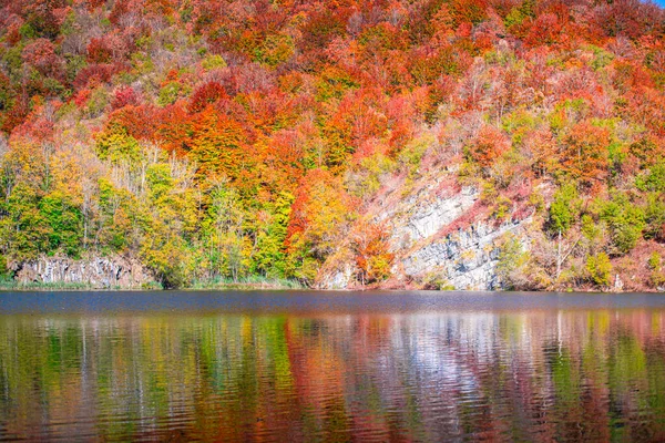 Paisaje Otoñal Con Árboles Coloridos Lago —  Fotos de Stock