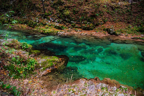 Красивий Тропічний Пейзаж Камінням Водою — стокове фото