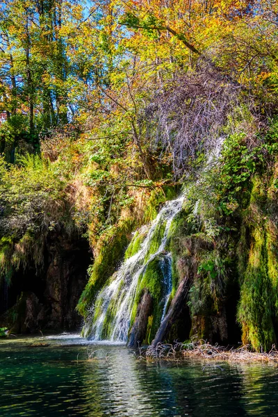 Ormanda şelale. doğa bileşimi