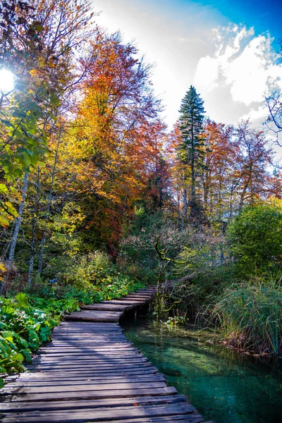 Hermoso Paisaje Otoño Con Puente Madera — Foto de Stock