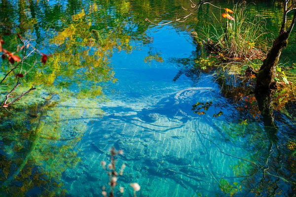 Bela Paisagem Com Lago Reflexão Água — Fotografia de Stock