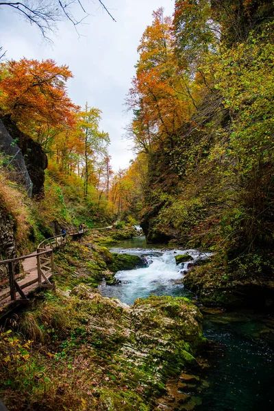 Осенний Пейзаж Горной Рекой — стоковое фото