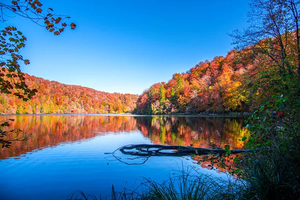 Hermoso Paisaje Otoñal Con Reflejo Agua —  Fotos de Stock