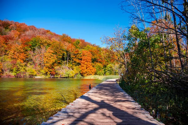 美丽的秋天风景 绿树成荫 蓝天蔚蓝 — 图库照片
