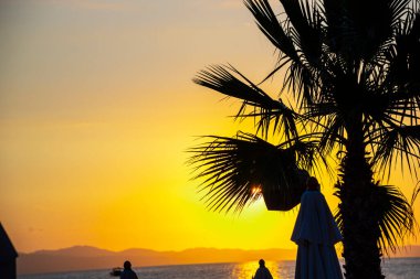 Gün batımında palmiye ağacı olan bir kadının silueti.
