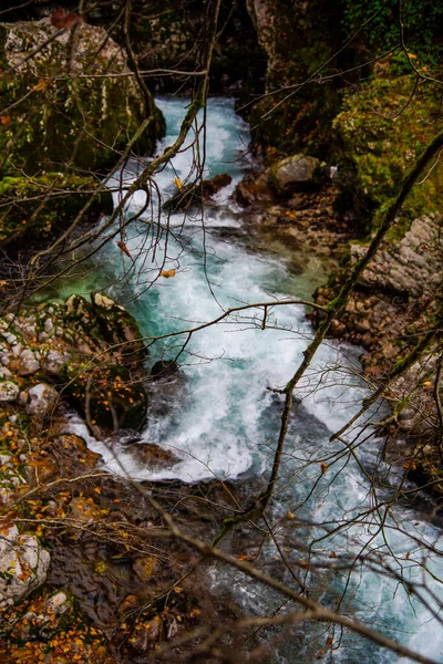 Красивая Горная Река Лесу — стоковое фото