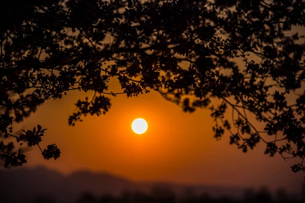 Силует Заходу Сонця Прекрасному Небі — стокове фото