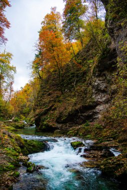 Sonbaharda dağ nehri