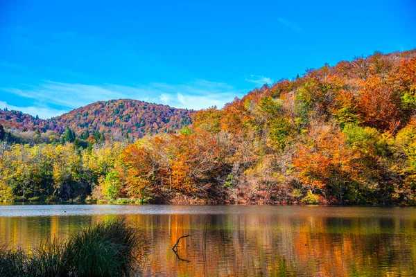 Bela Paisagem Outono Com Árvores Coloridas Lago — Fotografia de Stock