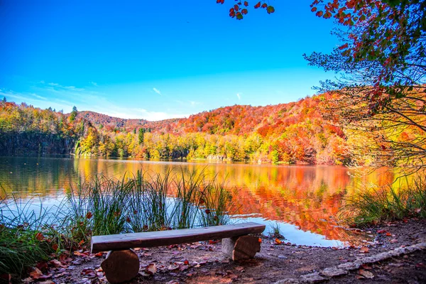 Outono Paisagem Com Lago Floresta — Fotografia de Stock