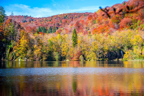 Paisaje Otoñal Con Árboles Coloridos Lago —  Fotos de Stock