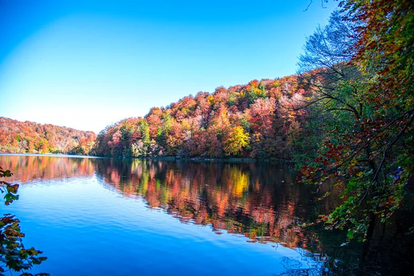美丽的秋景 水中倒影 — 图库照片