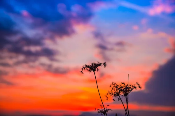 Zonsondergang Aan Hemel — Stockfoto