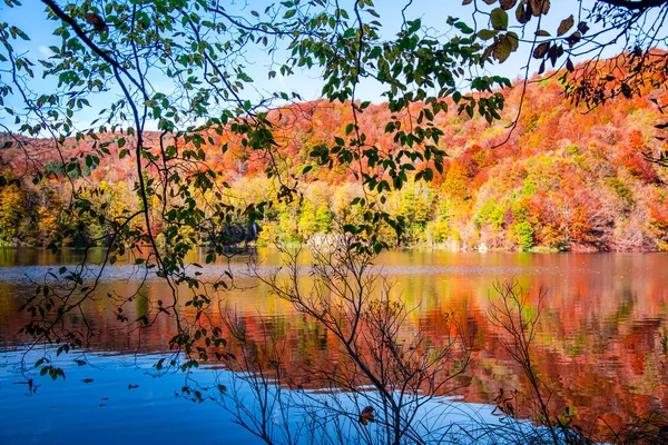 Paisagem Outono Com Reflexão Árvores Lago — Fotografia de Stock