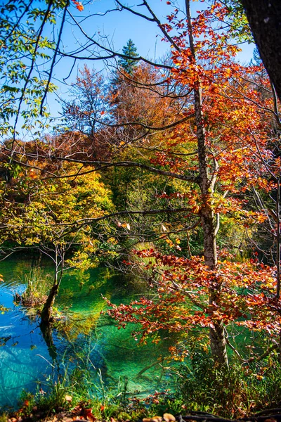 Paysage Automne Avec Une Rivière — Photo