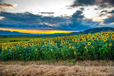 Dağlarda gün batımı