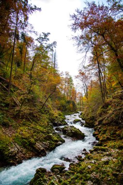 Sonbaharda dağ nehri