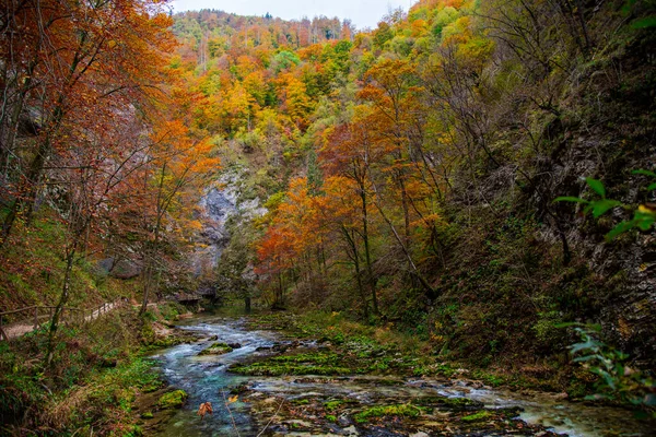 Горная Река Осенью — стоковое фото