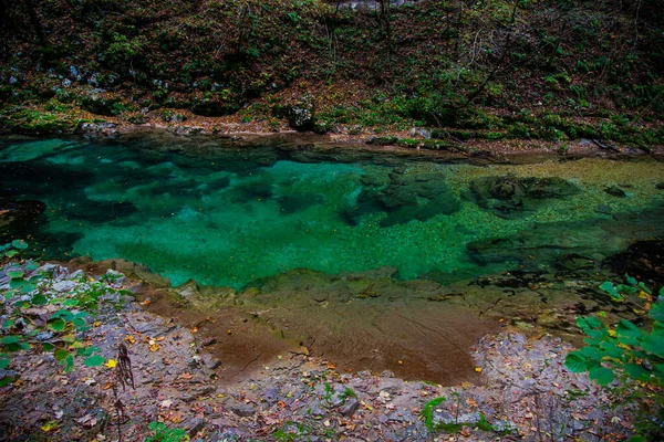 Krásná Tropická Krajina Horskou Řekou — Stock fotografie