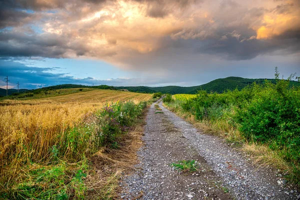 Landelijke Weg Het Platteland Met Dramatische Wolken — Stockfoto