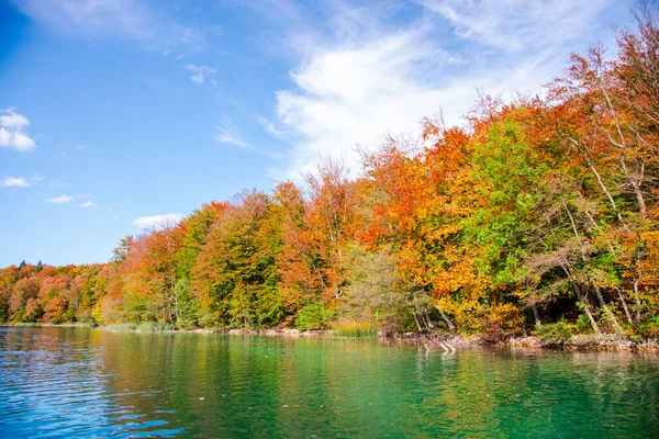 Paisaje Otoñal Con Árboles Lago —  Fotos de Stock