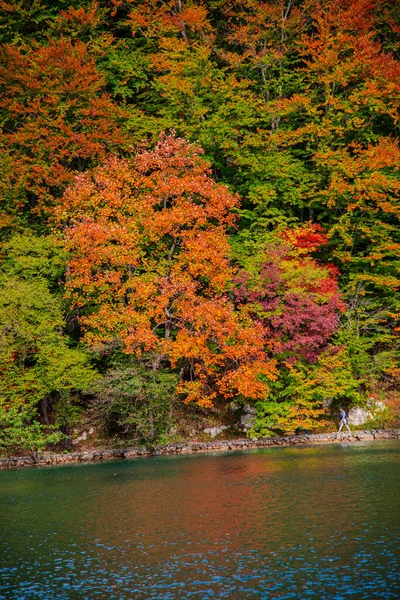 Automne Dans Parc — Photo