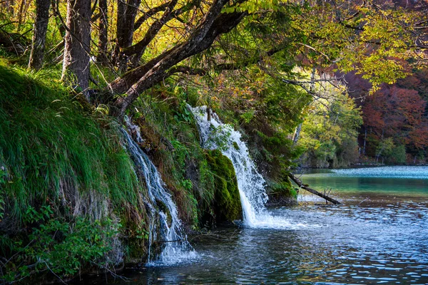 Ormanda Şelale — Stok fotoğraf