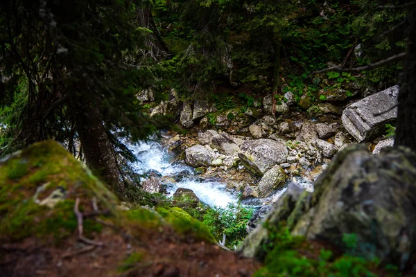 Fluxo Montanha Nas Montanhas Fotos De Bancos De Imagens Sem Royalties